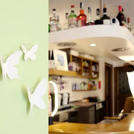 酒店 爱丽卡酒店
